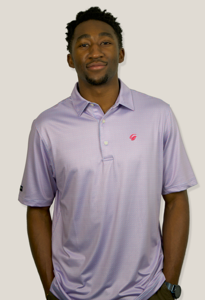 Maze Polo